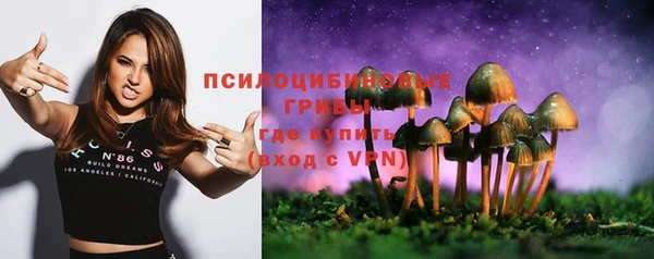 амф Каменногорск