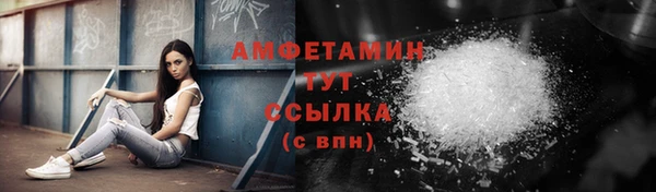 амф Каменногорск