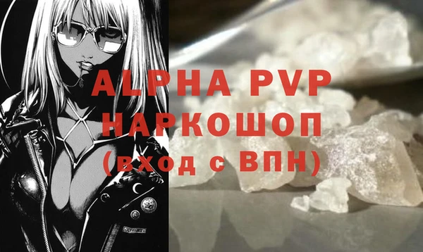 амф Каменногорск