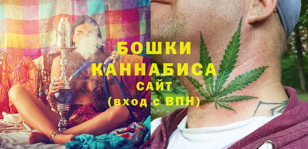 амф Каменногорск