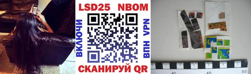 Купить закладки  Каргополь  Наркотические марки 1,8мг 