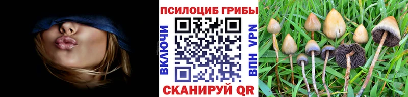 Галлюциногенные грибы прущие грибы  Купить закладки  Каргополь 
